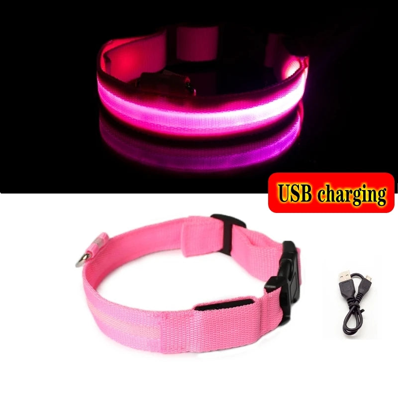 Collier LED lumineux pour chien — Sécurité nocturne rechargeable USB