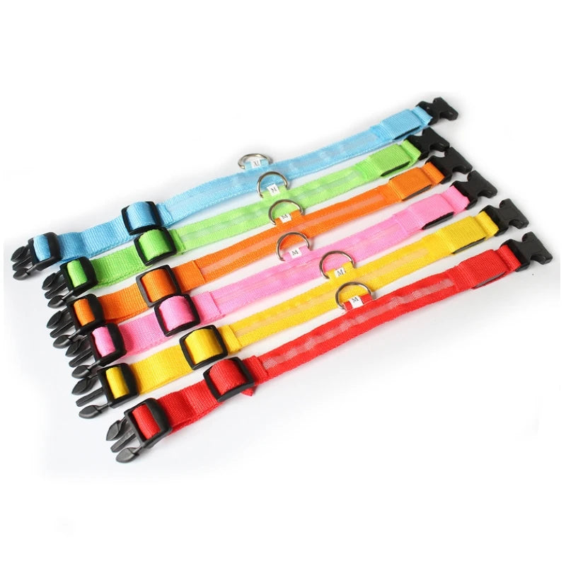 Collier LED lumineux pour chien — Sécurité nocturne rechargeable USB