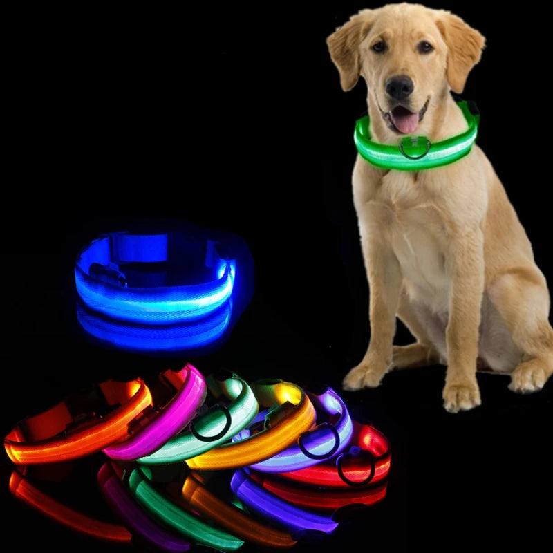 Collier LED lumineux pour chien — Sécurité nocturne rechargeable USB