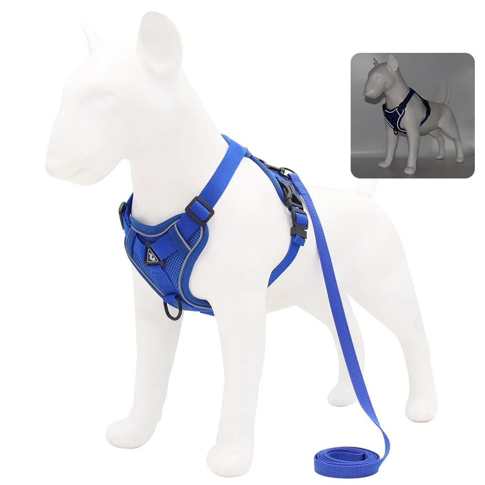 Harnais + laisse pour chien — Anti-traction confortable toutes races