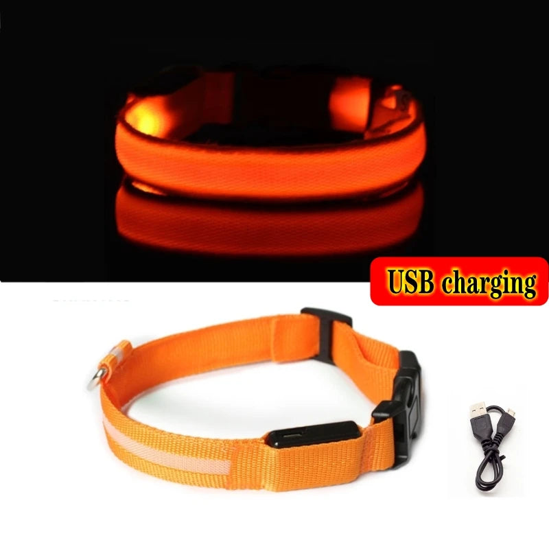 Collier LED lumineux pour chien — Sécurité nocturne rechargeable USB