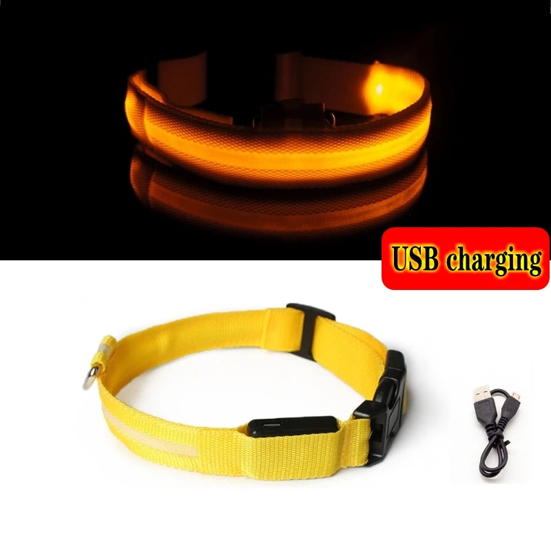 Collier LED lumineux pour chien — Sécurité nocturne rechargeable USB