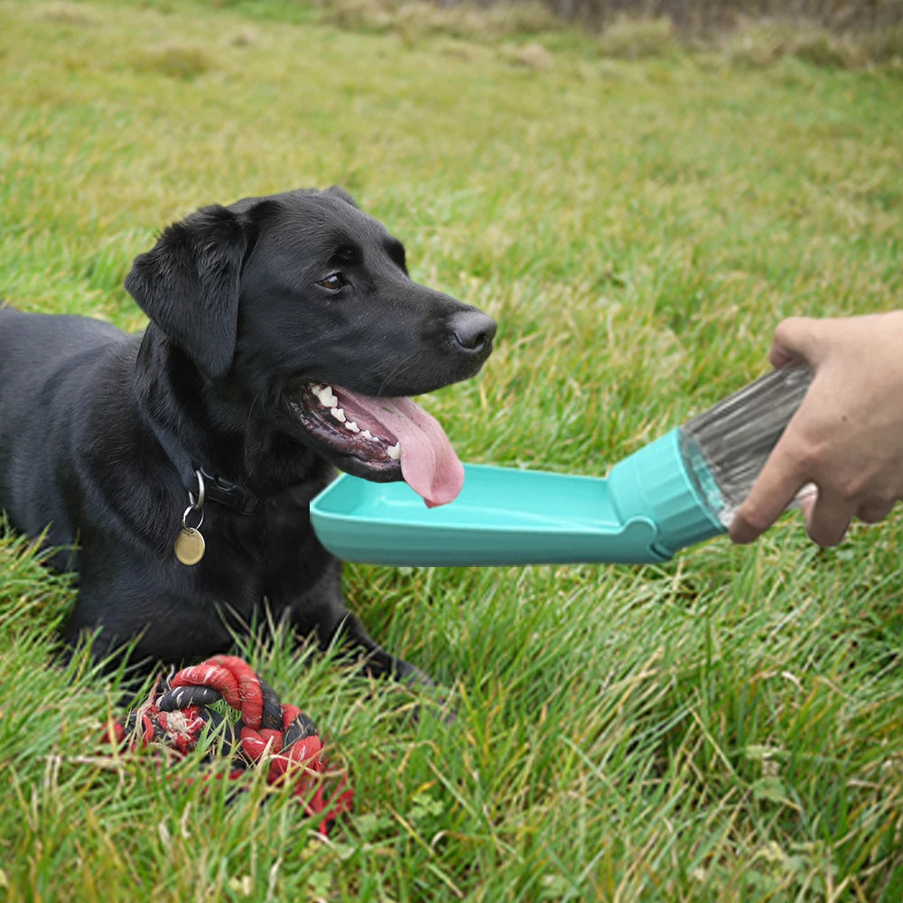 Gourde portable pour chien — Distributeur d'eau pour balades
