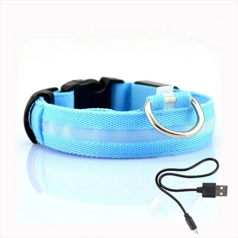 Collier LED lumineux pour chien — Sécurité nocturne rechargeable USB