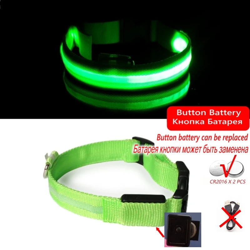 Collier LED lumineux pour chien — Sécurité nocturne rechargeable USB
