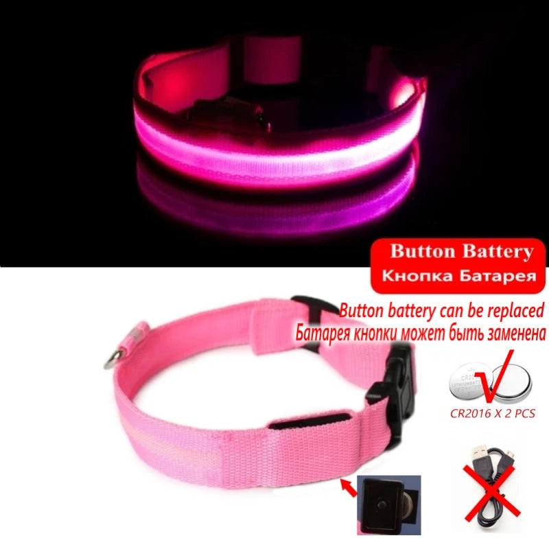 Collier LED lumineux pour chien — Sécurité nocturne rechargeable USB