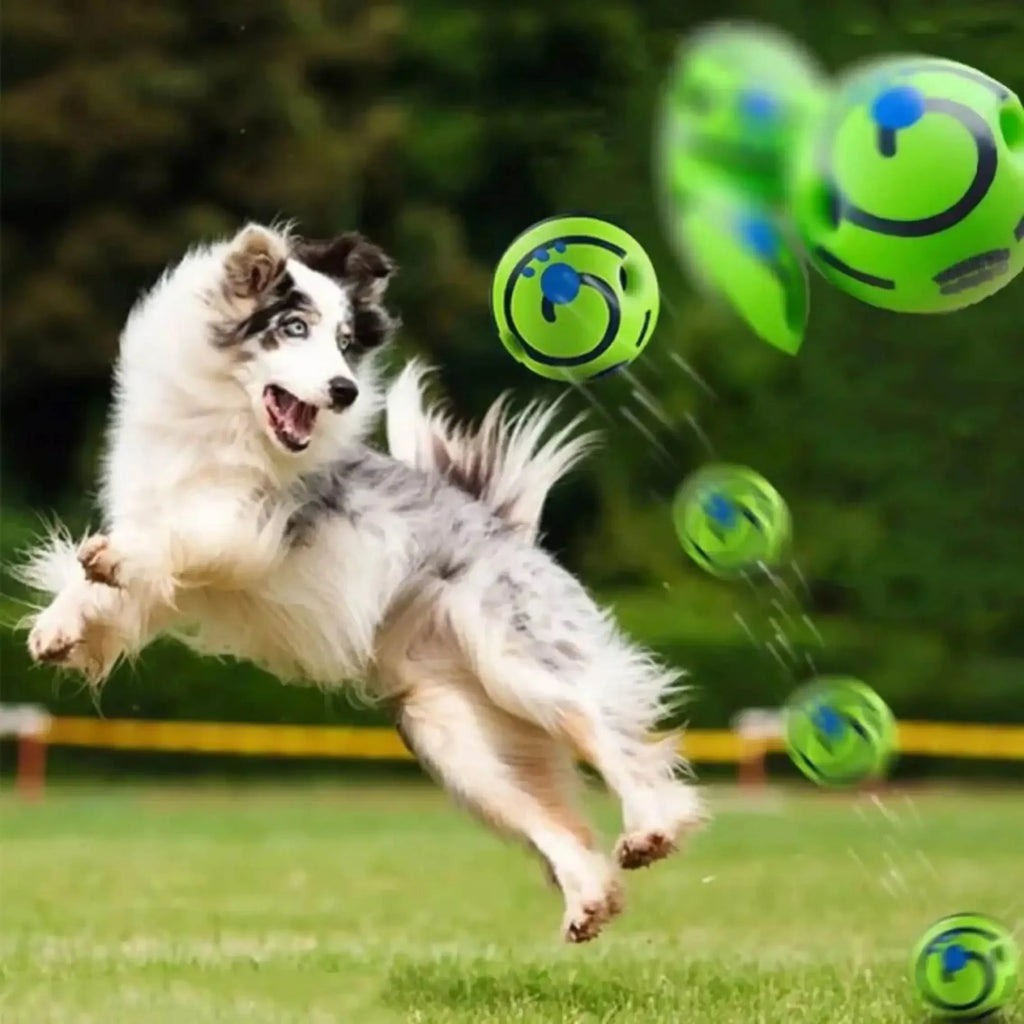 Balle interactive pour chien — Jouet stimulant anti-ennui