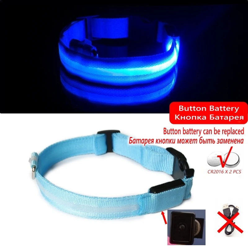 Collier LED lumineux pour chien — Sécurité nocturne rechargeable USB