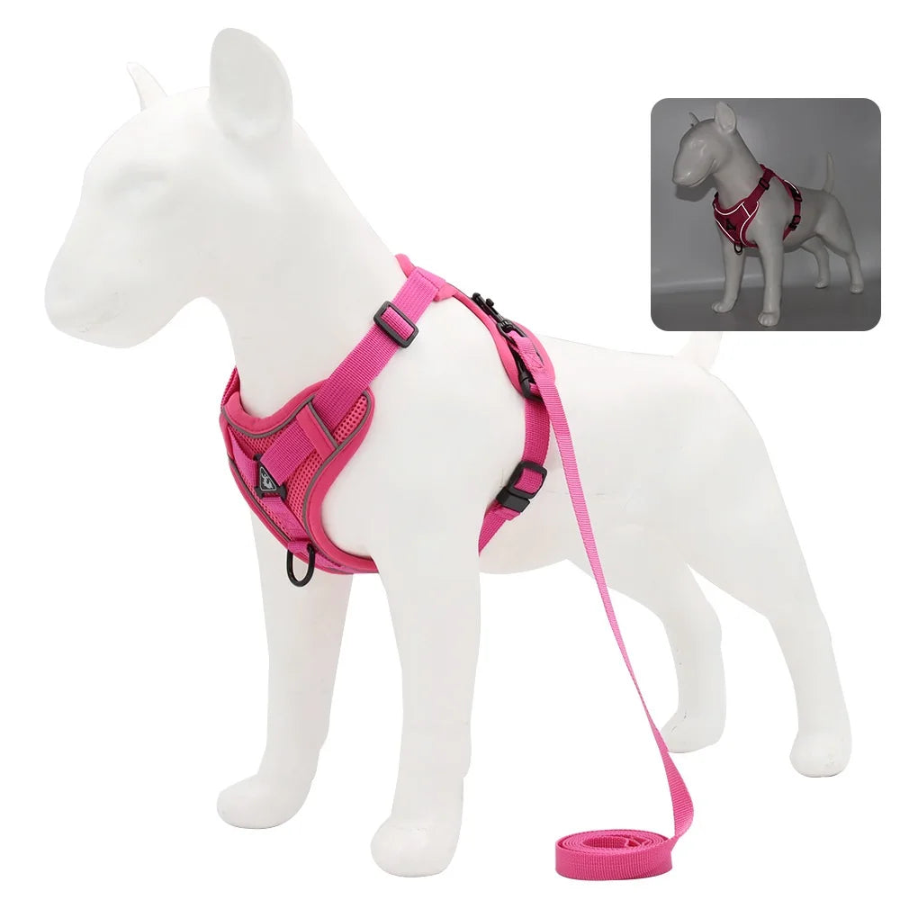Harnais + laisse pour chien — Anti-traction confortable toutes races