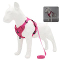 Harnais + laisse pour chien — Anti-traction confortable toutes races
