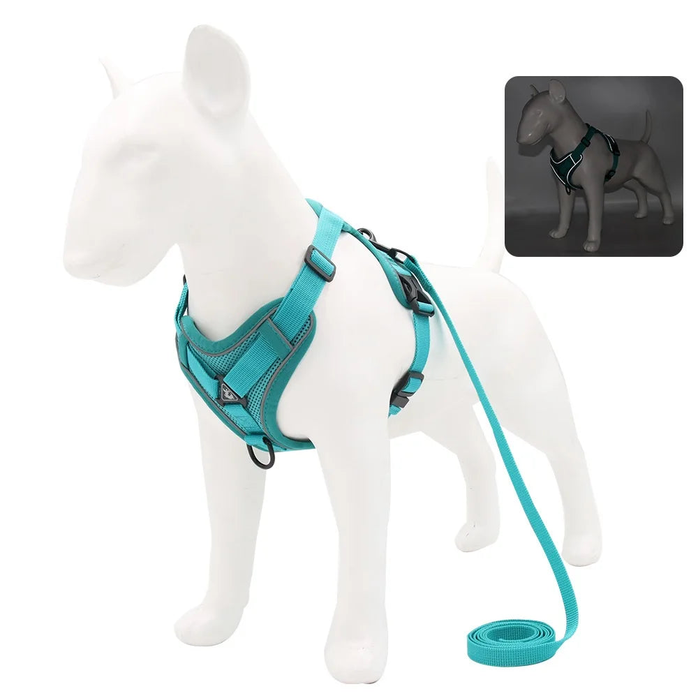 Harnais + laisse pour chien — Anti-traction confortable toutes races