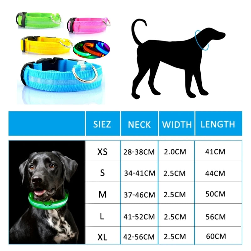 Collier LED lumineux pour chien — Sécurité nocturne rechargeable USB
