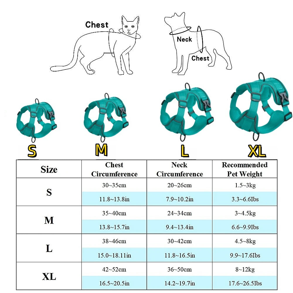 Harnais + laisse pour chien — Anti-traction confortable toutes races