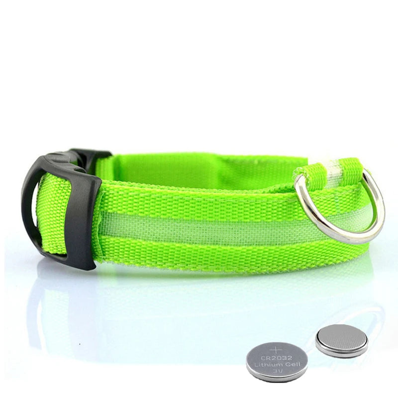 Collier LED lumineux pour chien — Sécurité nocturne rechargeable USB