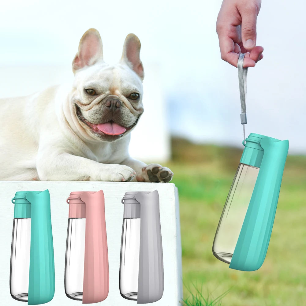Gourde portable pour chien — Distributeur d'eau pour balades