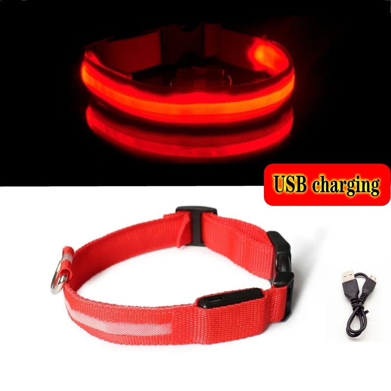 Collier LED lumineux pour chien — Sécurité nocturne rechargeable USB