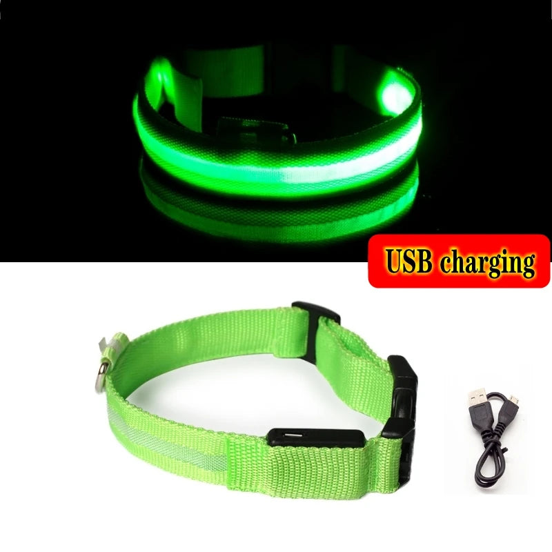 Collier LED lumineux pour chien — Sécurité nocturne rechargeable USB