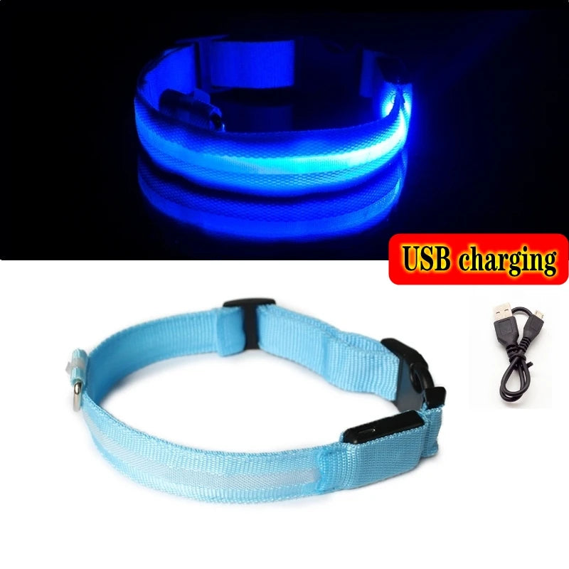 Collier LED lumineux pour chien — Sécurité nocturne rechargeable USB