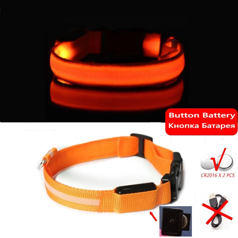 Collier LED lumineux pour chien — Sécurité nocturne rechargeable USB
