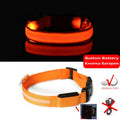 Collier LED lumineux pour chien — Sécurité nocturne rechargeable USB