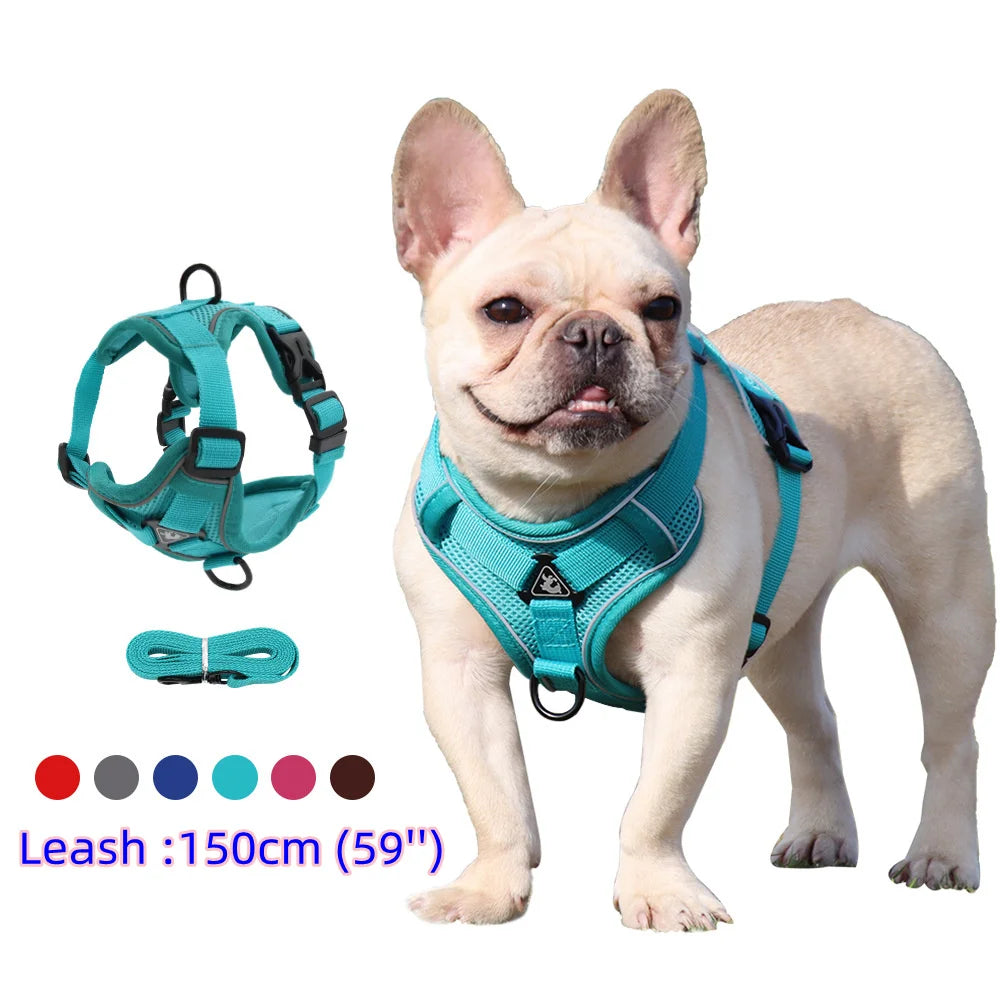 Harnais + laisse pour chien — Anti-traction confortable toutes races