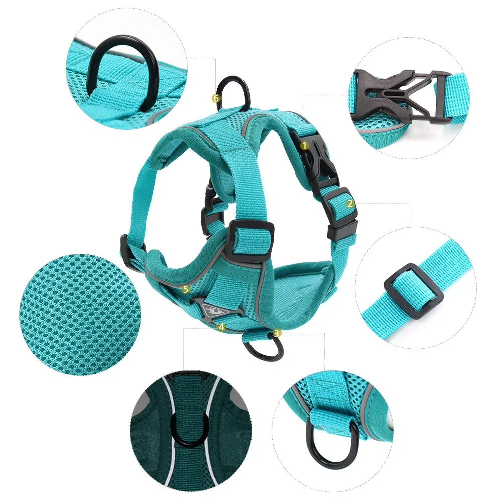 Harnais + laisse pour chien — Anti-traction confortable toutes races