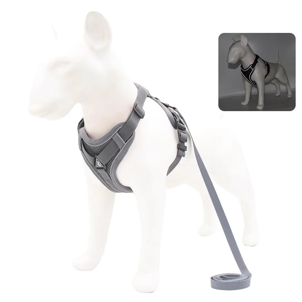Harnais + laisse pour chien — Anti-traction confortable toutes races