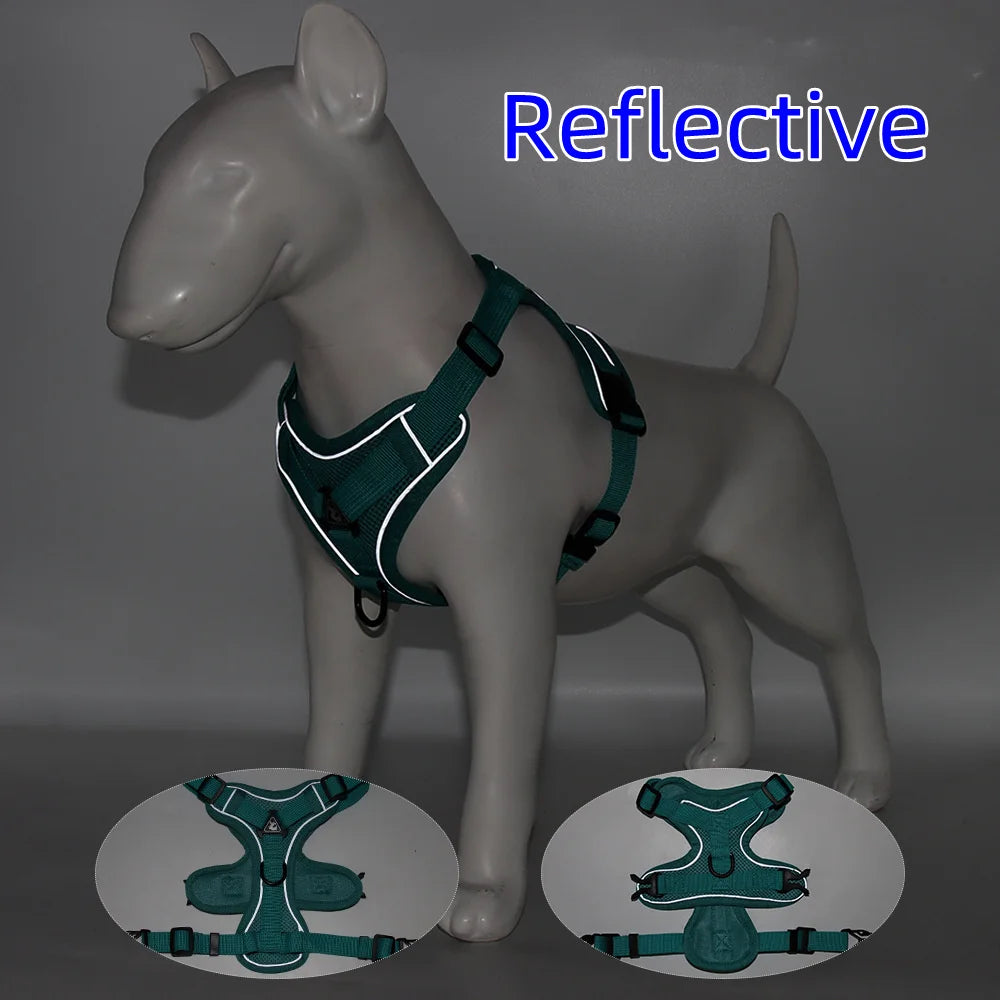 Harnais + laisse pour chien — Anti-traction confortable toutes races