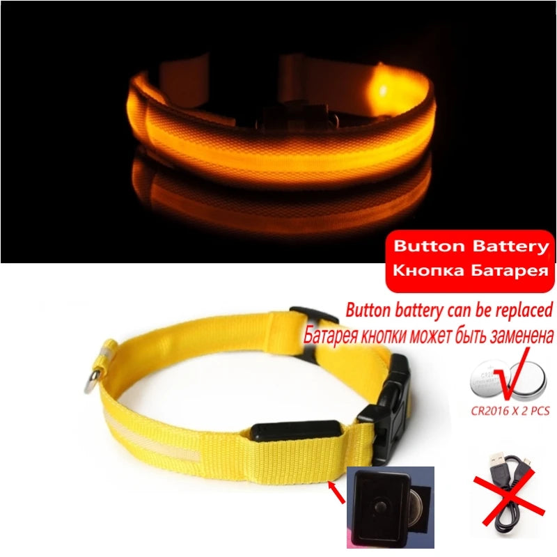 Collier LED lumineux pour chien — Sécurité nocturne rechargeable USB