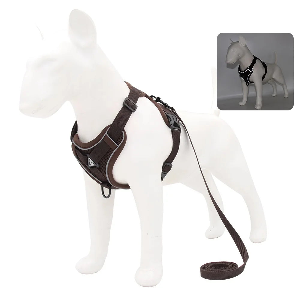 Harnais + laisse pour chien — Anti-traction confortable toutes races