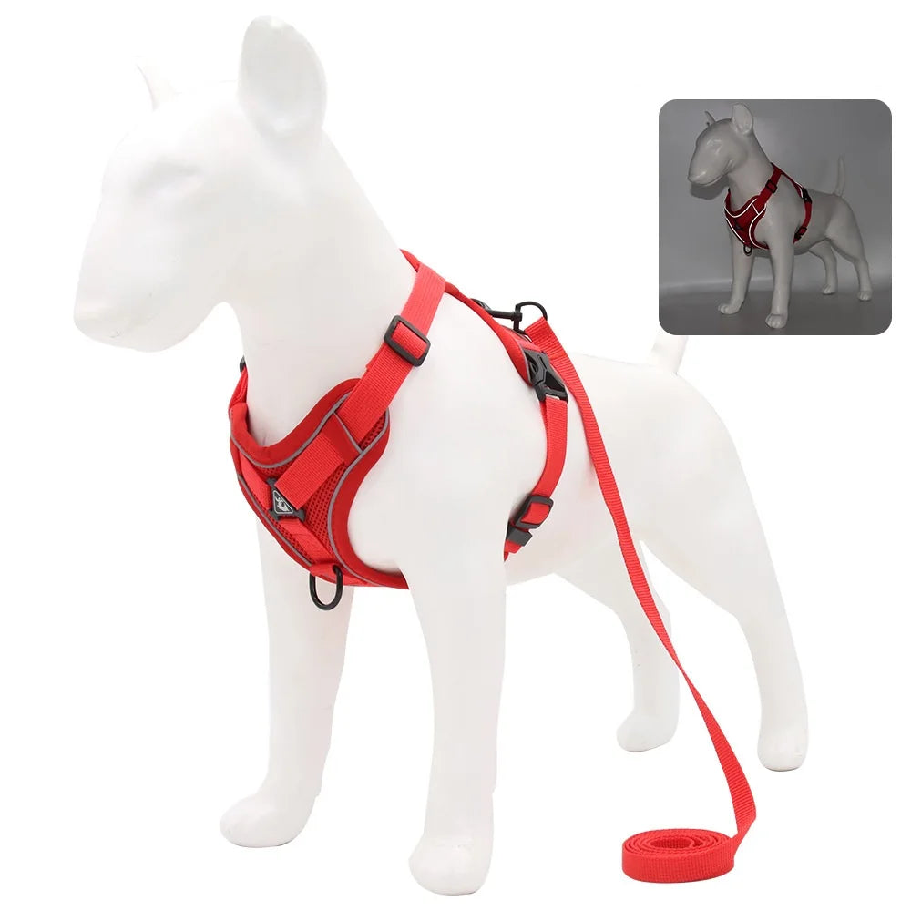 Harnais + laisse pour chien — Anti-traction confortable toutes races