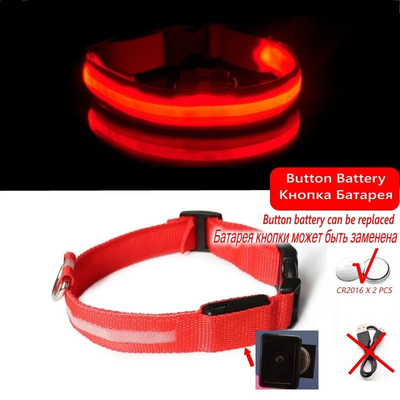 Collier LED lumineux pour chien — Sécurité nocturne rechargeable USB